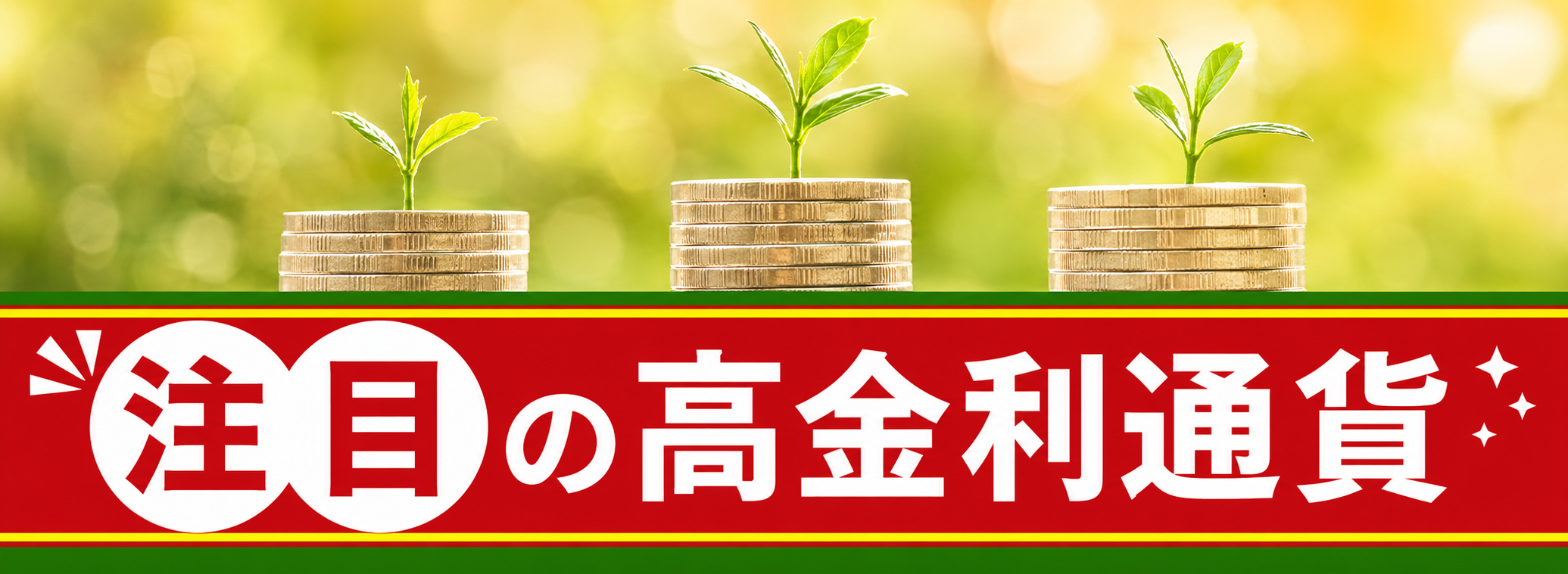 注目の高金利通貨