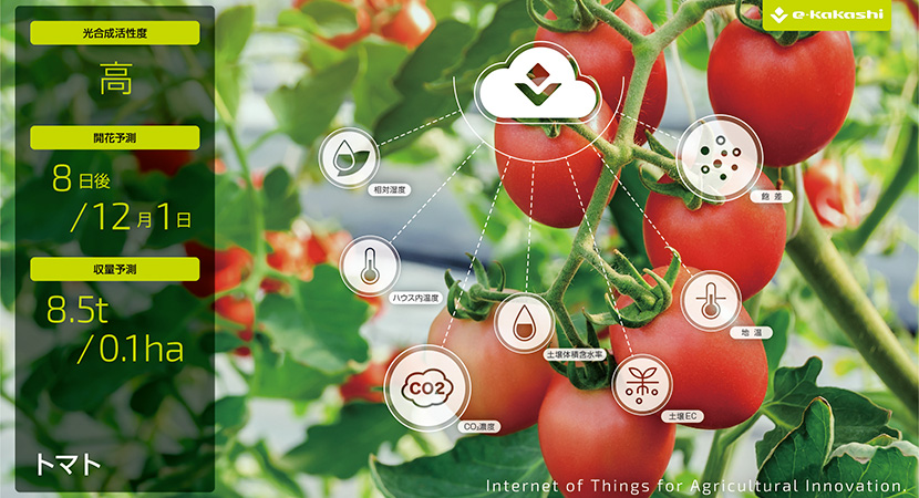 e-kakashiのテクノロジーにより「ちょっと先の未来」を予測