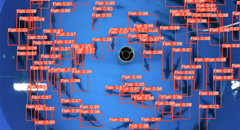 チョウザメのデータトラッキングの様子