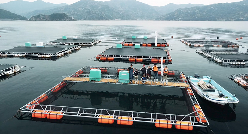 ソフトバンクの実験生簀を開設して、自ら実践