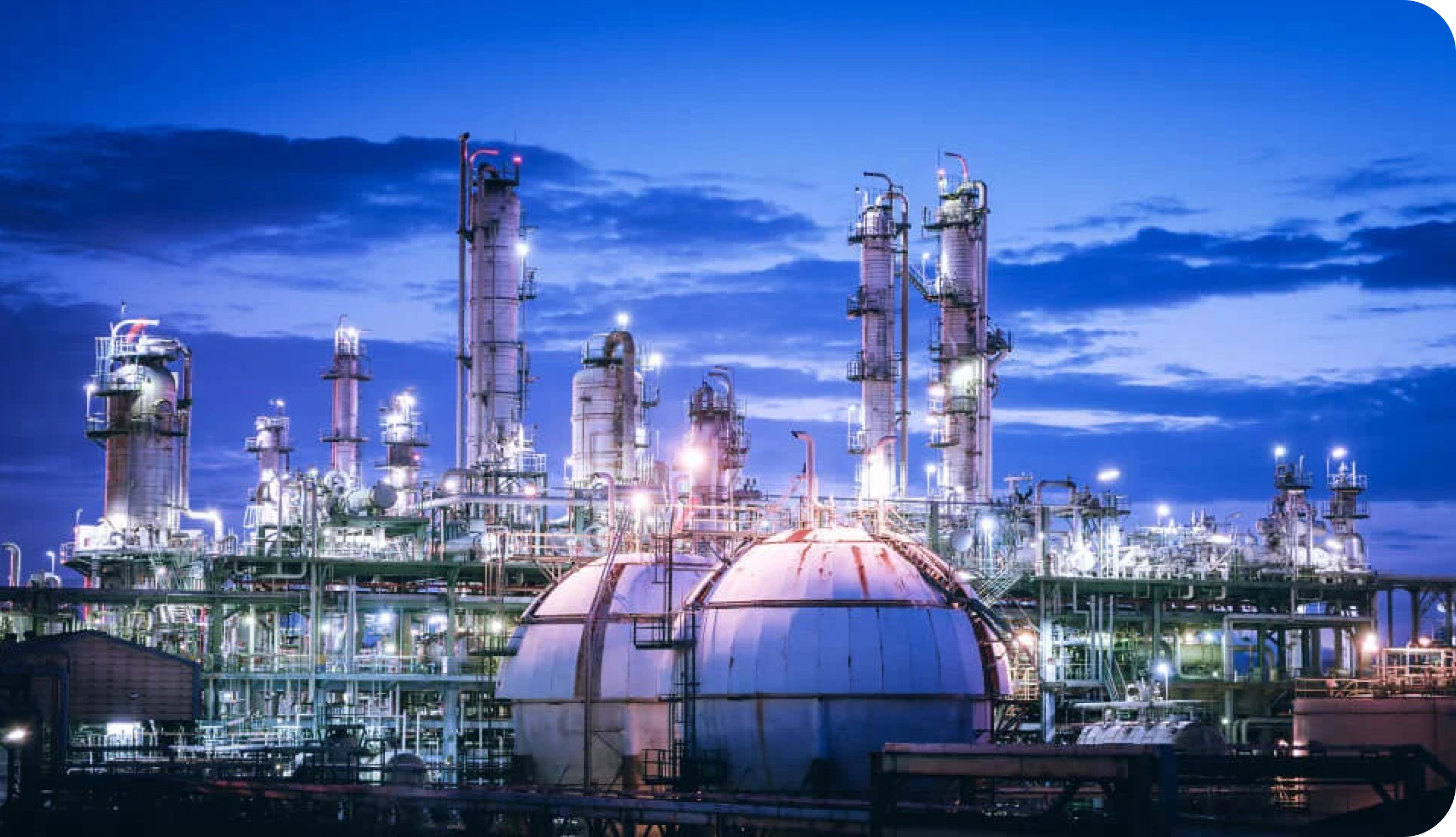 今後の取り組み