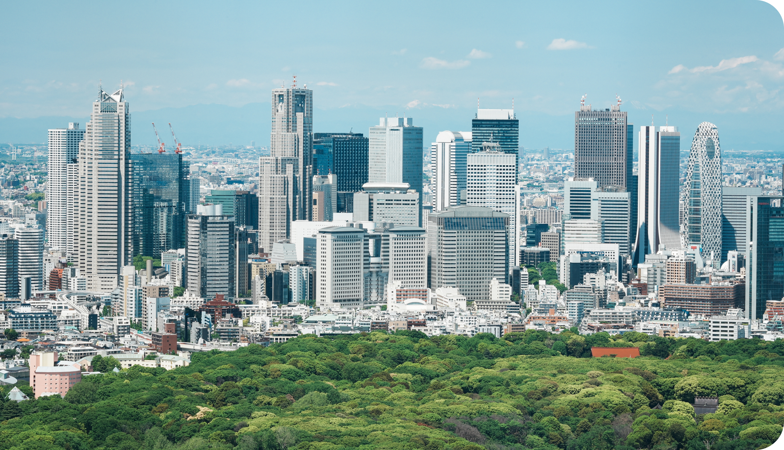 今後の取り組み